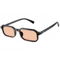 EMPORIO ARMANI EA4253U